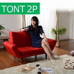  ｢TONT｣ 2P ギア14段 A538-2P